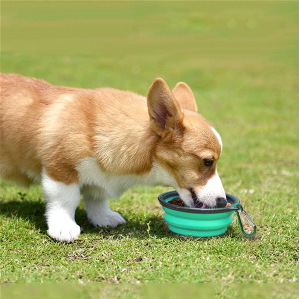 Collapsible Silicone Pet Bowls - Set of 2, Portable and Expandable Dog/Cat Feeders for Food and Water, Ideal for Travel and Camping (Light Blue & Light Green)