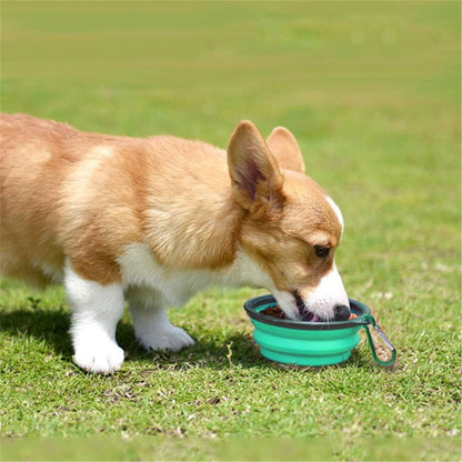 Collapsible Silicone Pet Bowls - Set of 2, Portable and Expandable Dog/Cat Feeders for Food and Water, Ideal for Travel and Camping (Light Blue & Light Green)