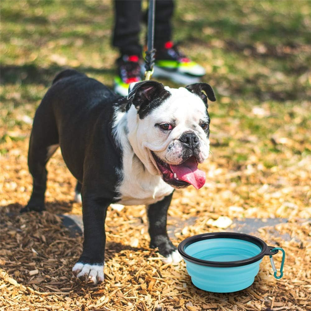 Collapsible Silicone Pet Bowls - Set of 2, Portable and Expandable Dog/Cat Feeders for Food and Water, Ideal for Travel and Camping (Light Blue & Light Green)